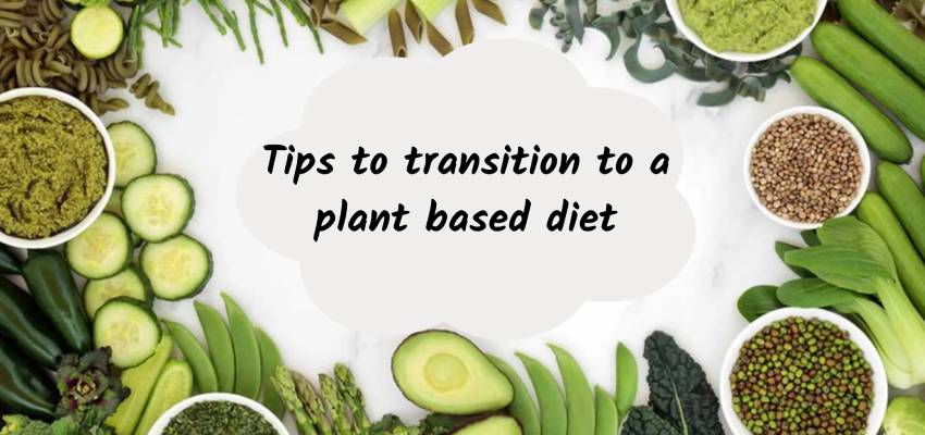 Benefits of Plant Based Diets