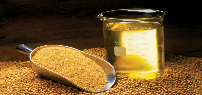 Best Soyabean Oil Brand